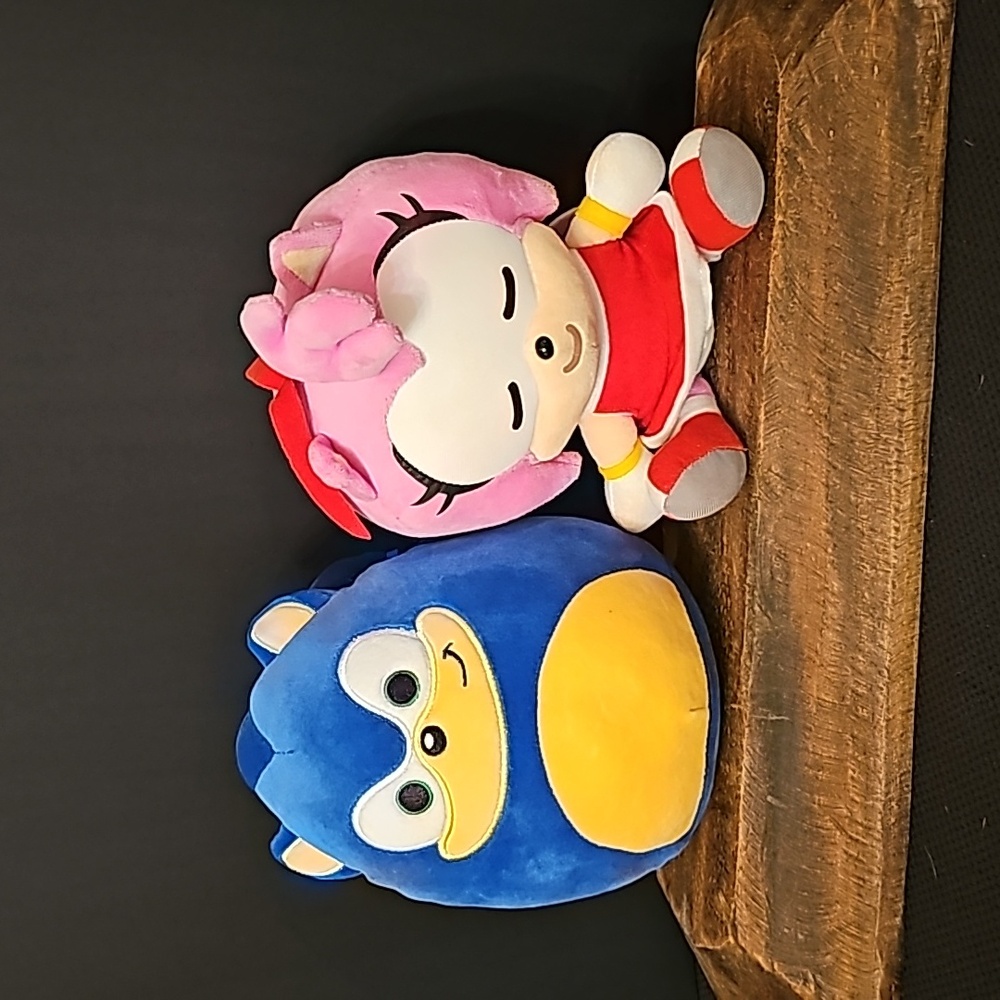 Sonic the Hedgehog Pair